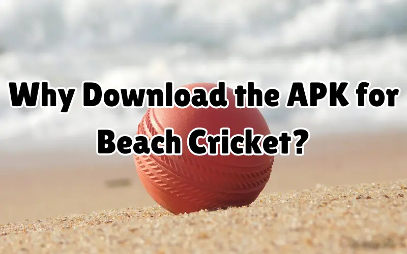 beach cricket play